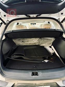 بي واي دي ‎سونغ برو DM-i